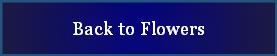 Back to Flowers