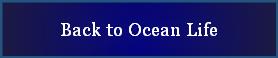 Back to Ocean Life