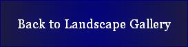 Back to Landscape Gallery